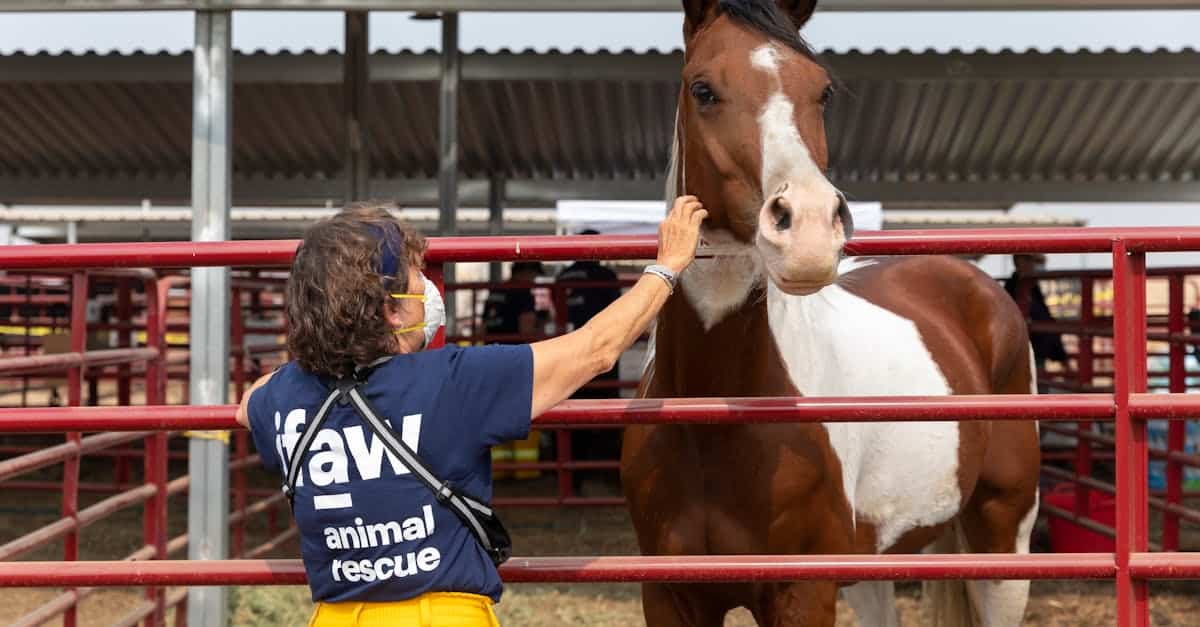 What incredible discoveries about Reims veterinarians will change the lives of our pets?